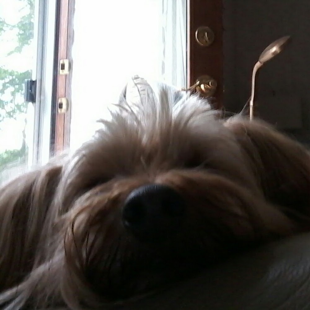 Meet your Posher, Lakejacqueline